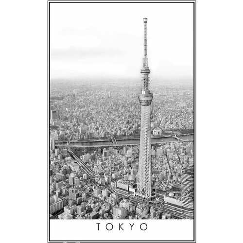 Пазл для взрослых Pintoo 1000 деталей: Черное и белое. Токио