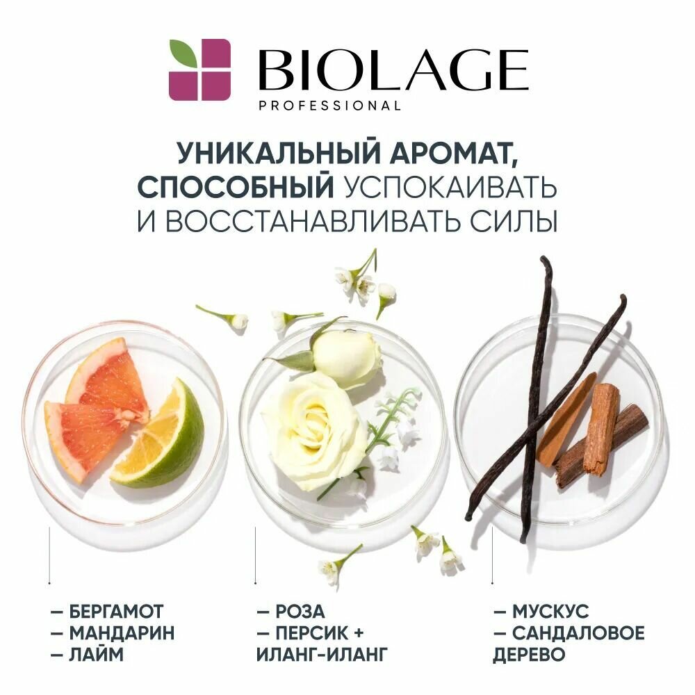 Matrix Biolage Шампунь для уплотния тонких волос Full Density Shampoo 250 мл — фото 1