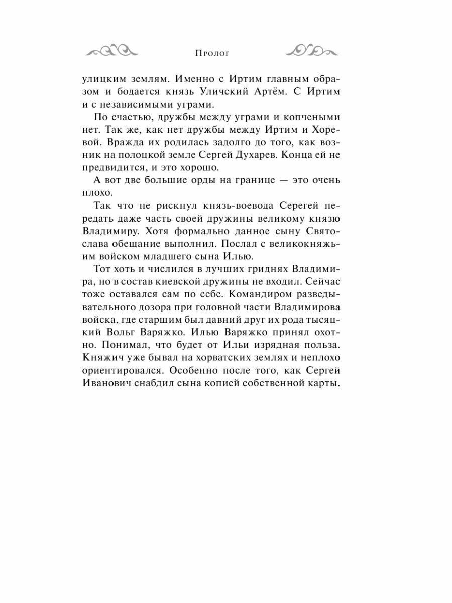 Варяг. Доблесть воина (Мазин Александр Владимирович) - фото №14