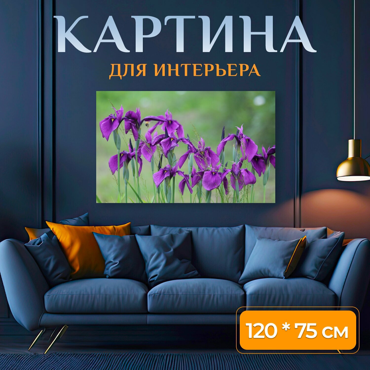 Картина на холсте "Ирис, фиолетовые ирисы, садовые цветы" на подрамнике 120х75 см. для интерьера