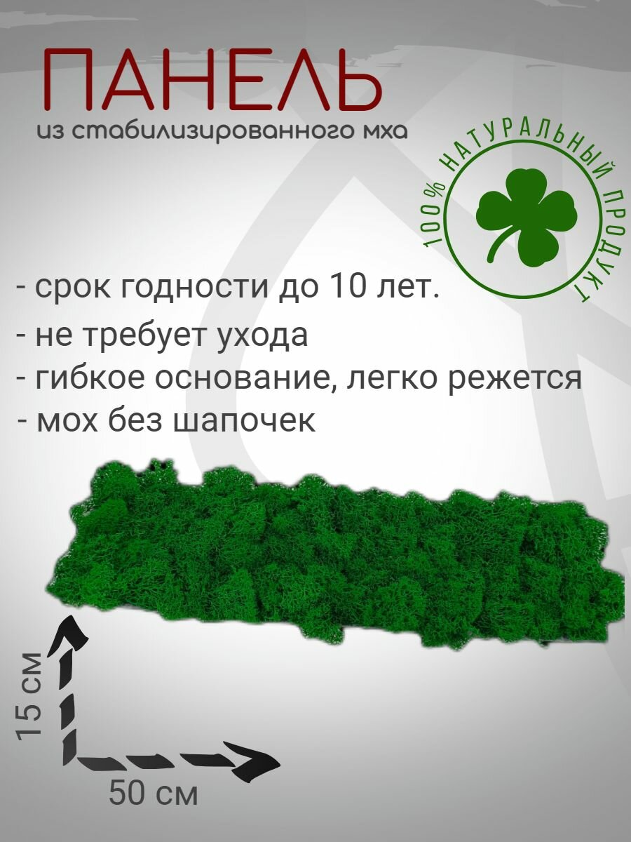 фото Панель из Стабилизированного мха 15*50см
