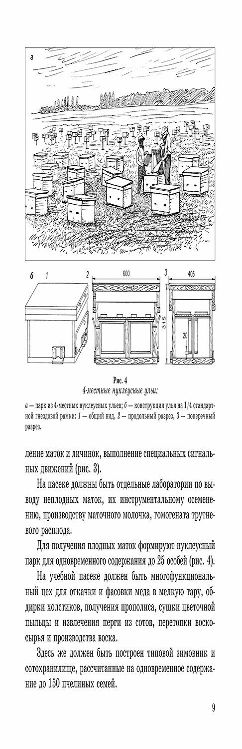 Практикум по пчеловодству (Лебедев Вячеслав Иванович, Козин Роберт Борисович, Иренкова Наталья Вячеславовна) - фото №7