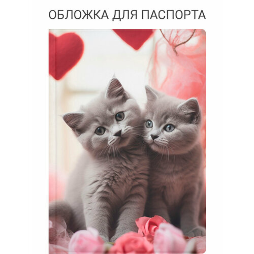 Обложка для паспорта SLVGO, серый, бежевый, красный, белый