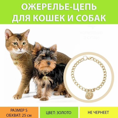 Ошейник с подвеской для кошек и собак. Золотая цепь с подвеской для животных, декоративный чокер на шею (размер S)