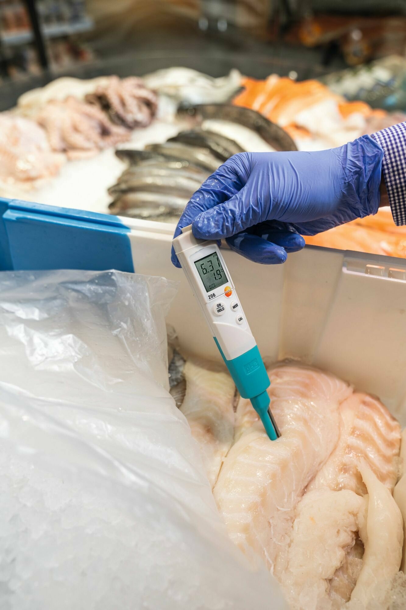 Карманный pH-метр Testo 206-pH2, 0563 2062 — фото 1