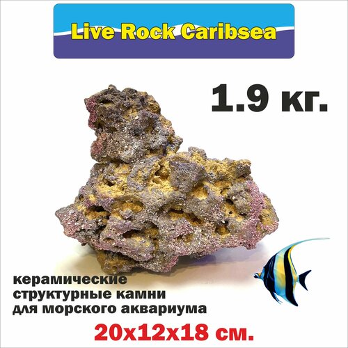 Камень для морского аквариума 1.9 кг, сухой рифовый камень/ Live rock Caribsea/ живые камни