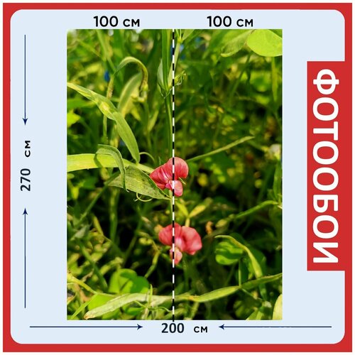 Фотообои Розовый цветок зеленый 200x270 см флизелиновыена стену 2960₽