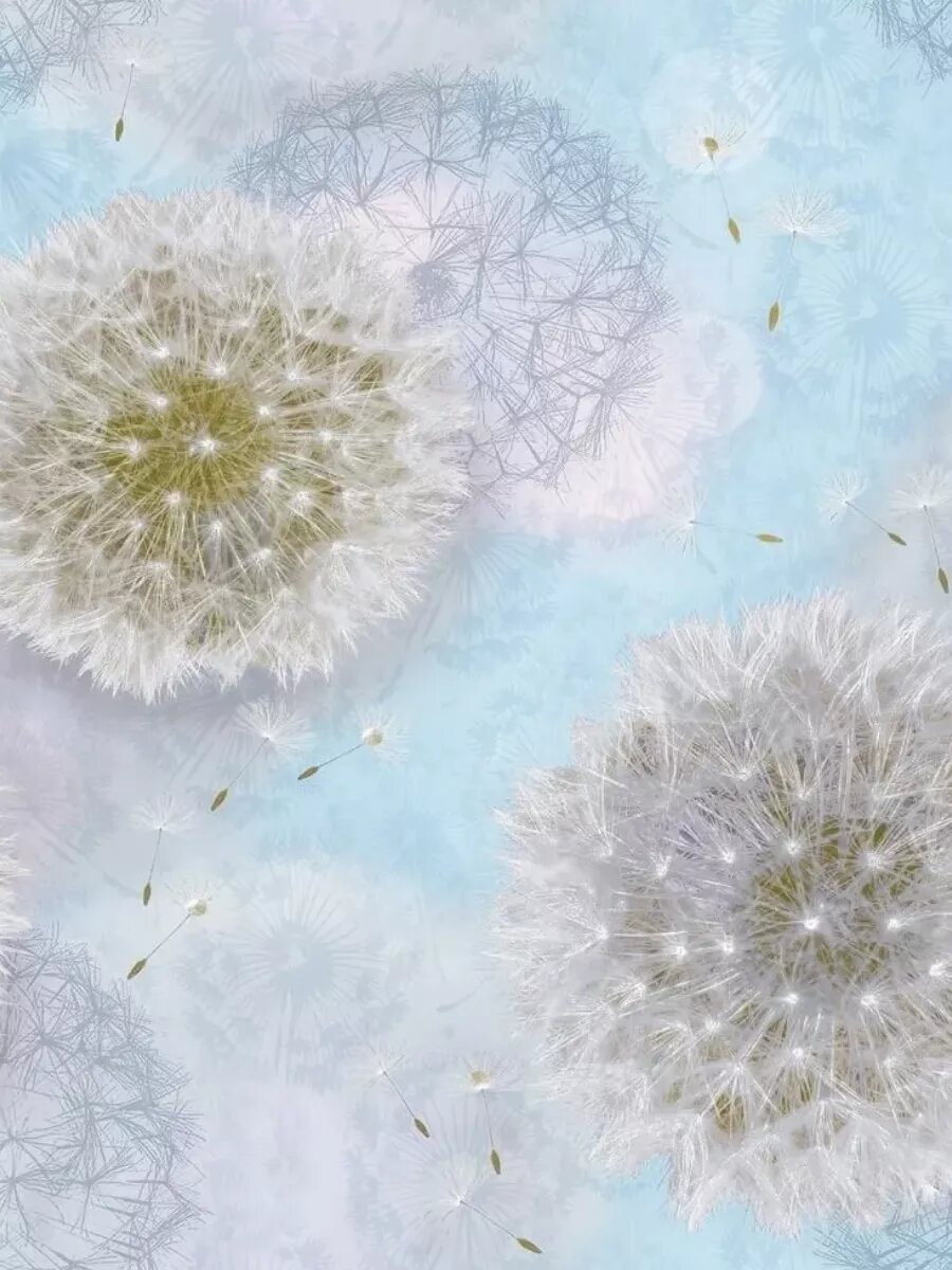 фото Обои бумажные Саратовские Одуванчики 06 - 01