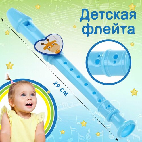 Флейта Veld Co 320₽