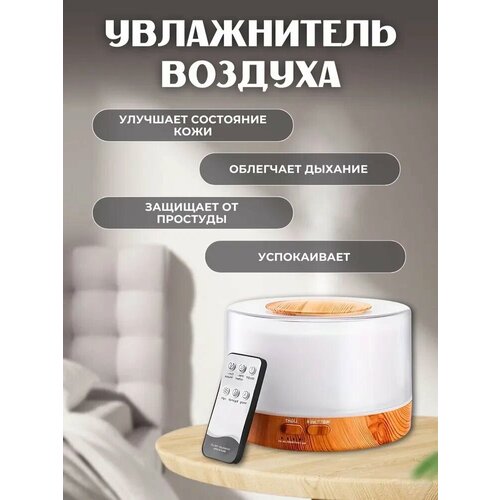 Увлажнитель воздуха для дома 100000₽