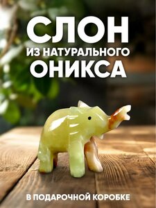 Основная фотография от вендора