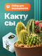 кактусы