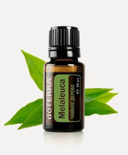 Изображение товара Эфирное масло DoTerra: Чайное дерево 15мл