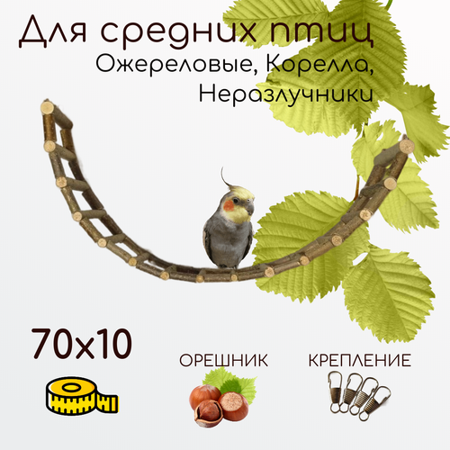 Лесенка деревянная для попугаев и птиц 70х10 см