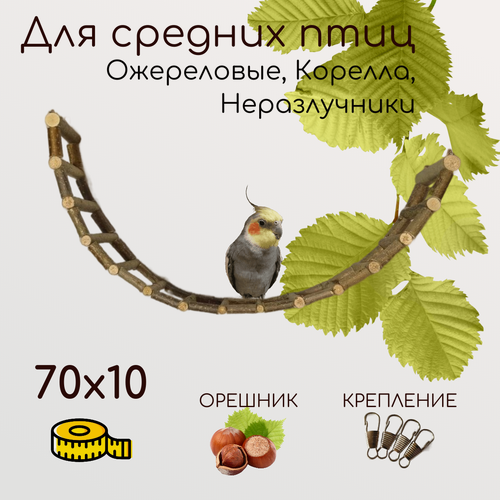 Изображение товара Лесенка деревянная для попугаев и птиц 70х10 см
