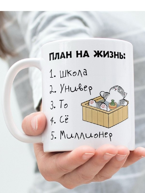 Кружка с приколом керамическая в подарок "План на жизнь" 330 мл, 1 шт