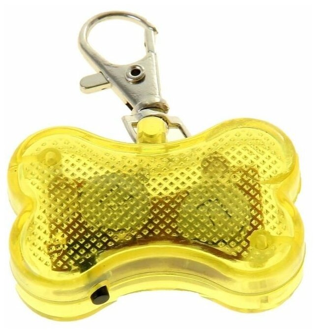 фото Маячок Пижон Косточка