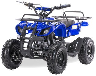 MOTAX Квадроцикл Mini Grizlik Х-16 Big Wheel 1000W, синий