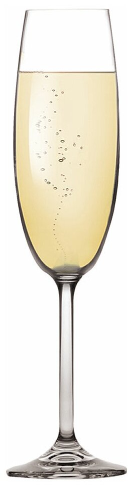 Бокал Tescoma Charlie для шампанского, 220 мл, 6 шт., прозрачный