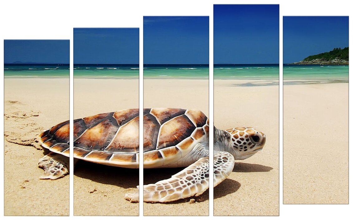 Картина модульная Картиномания "Морская черепаха на пляже" размер 140х90 см