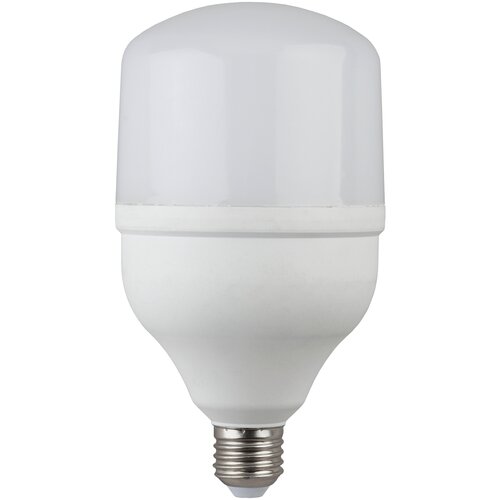 ЭРА Лампа светодиодная E27 20Вт ЭРА LED POWER Т80-20W-6500-E27