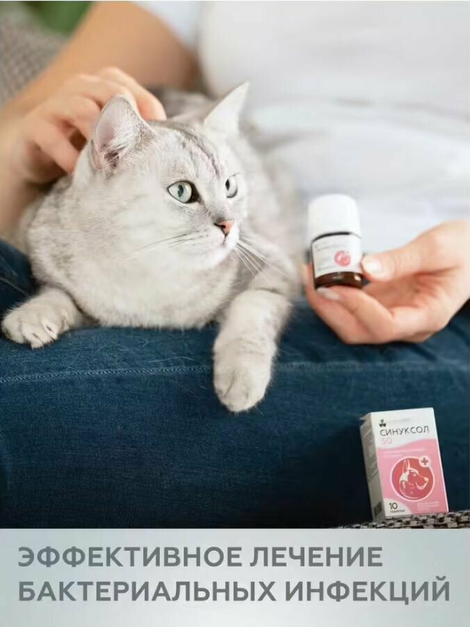 Nita-farm Синуксол Антибактериальный препарат для кошек и собак 50 мг, 10 таблеток - фото №14