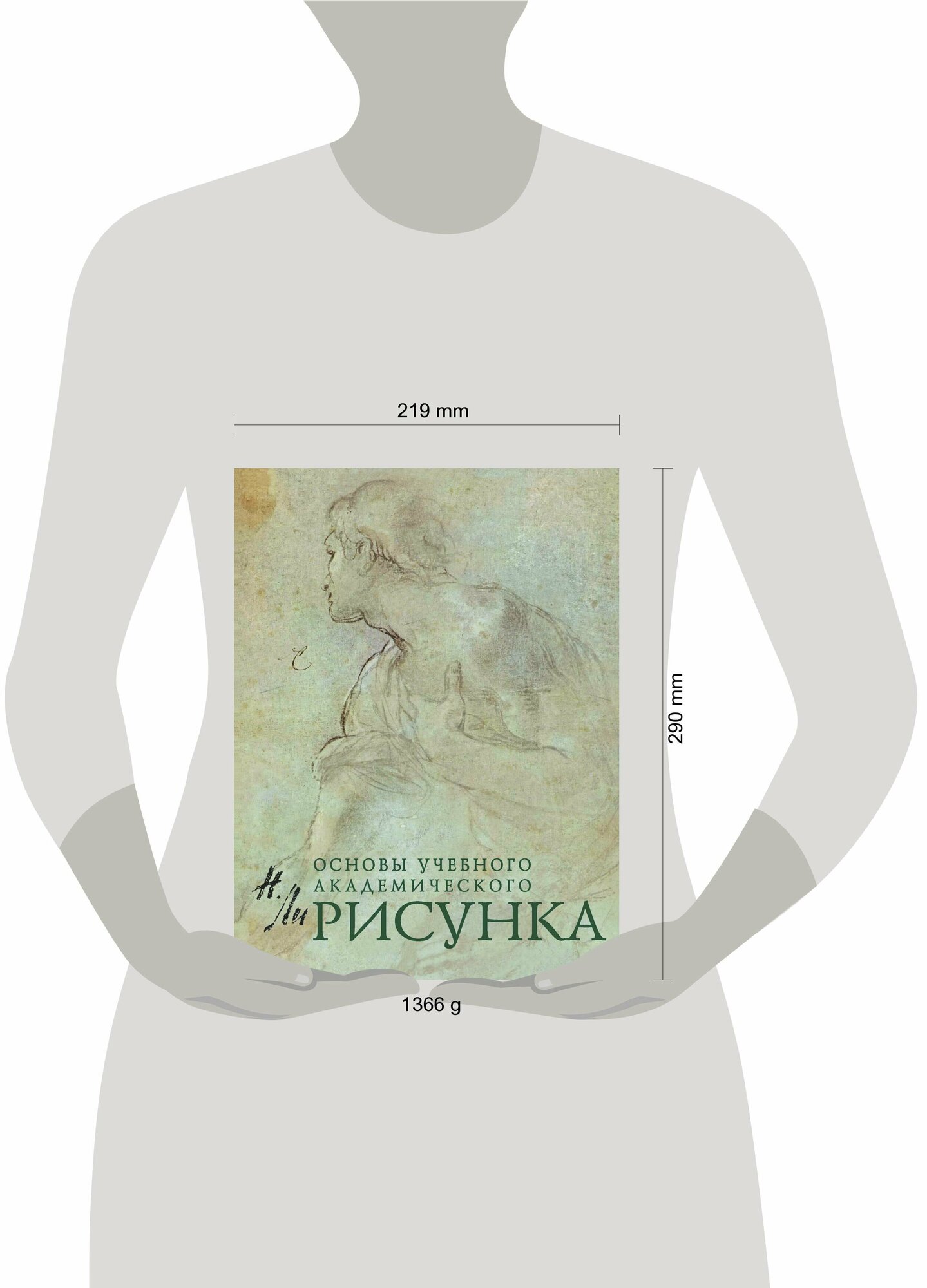 Рисунок. Основы учебного академического рисунка. Учебник - фото №18