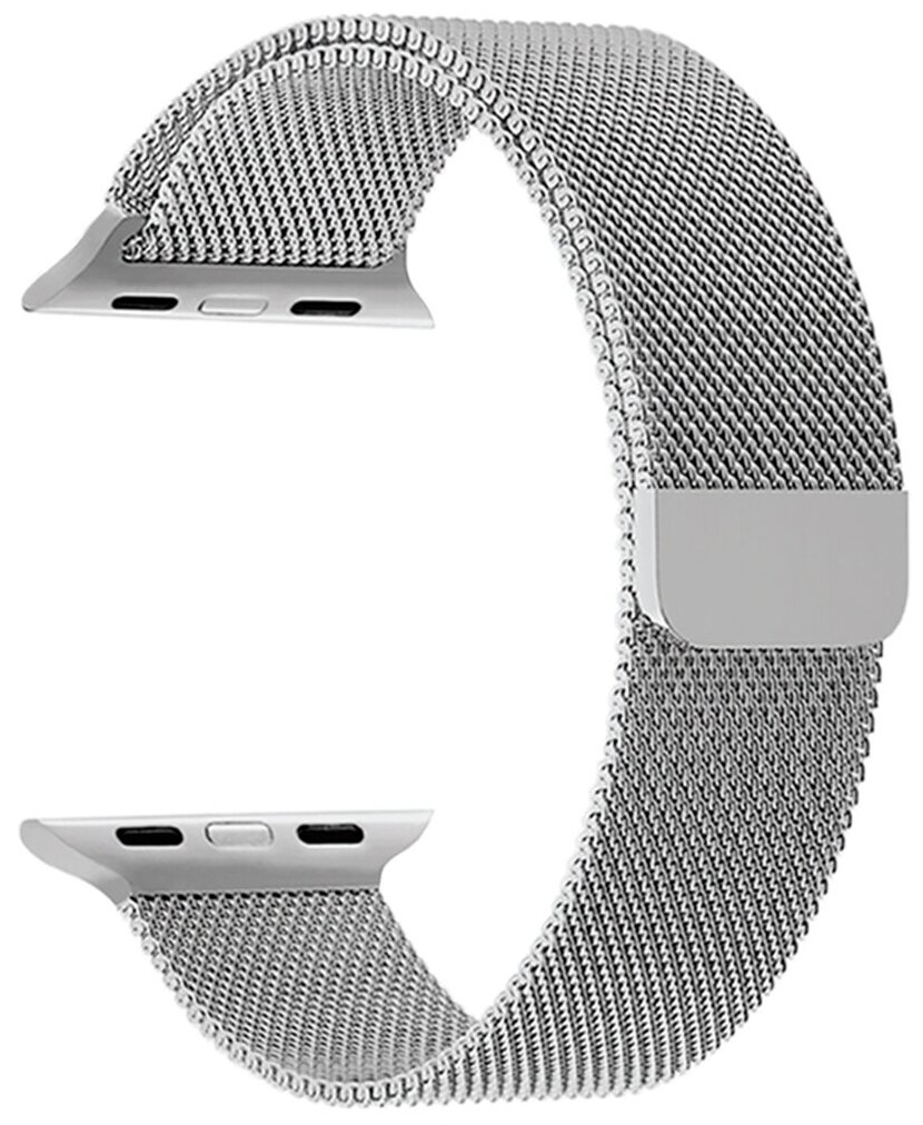 Ремешок Lyambda для Apple Watch 42/44 mm Capella (Нержавеющая сталь) Silver DS-APM02/2-44-SL