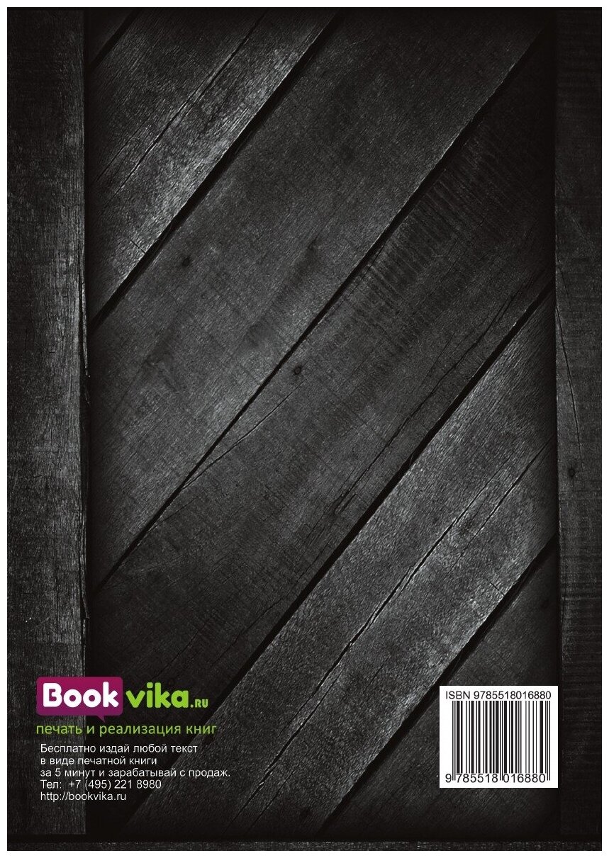 Книга Очерки из истории до-Петровской Руси - фото №2