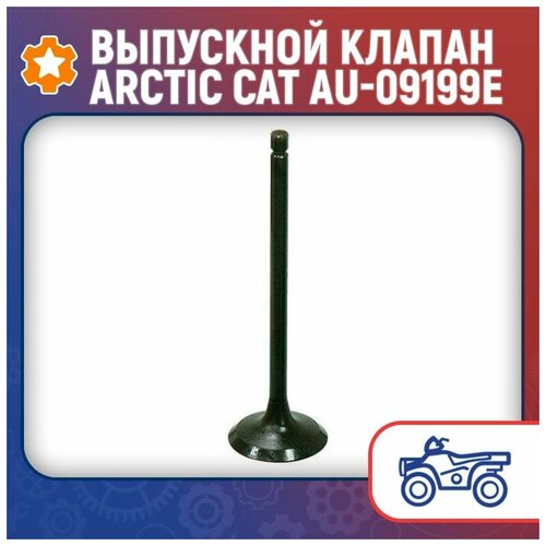 Выпускной клапан Arctic Cat AU-09199E