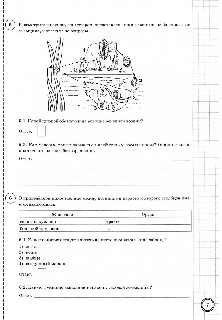 ВПР ЦПМ. Биология. 8 класс. Типовые задания. 10 вариантов. - фото №7