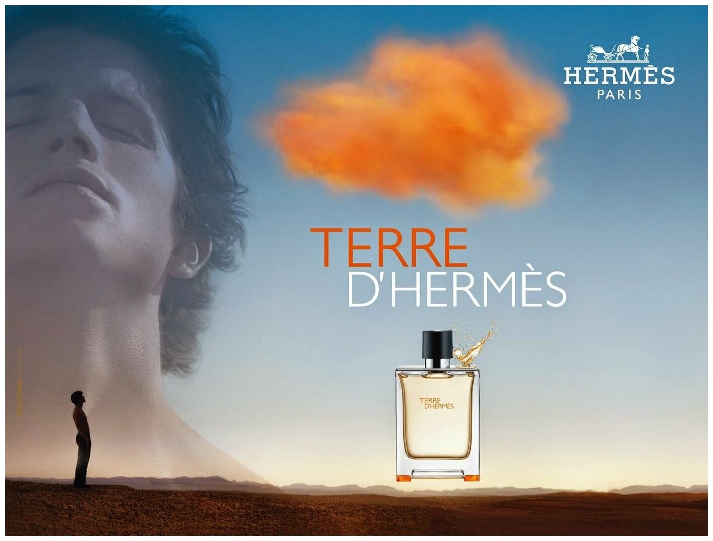 Туалетная вода Hermes мужская Terre D`Hermes Eau De Toilette 100 мл