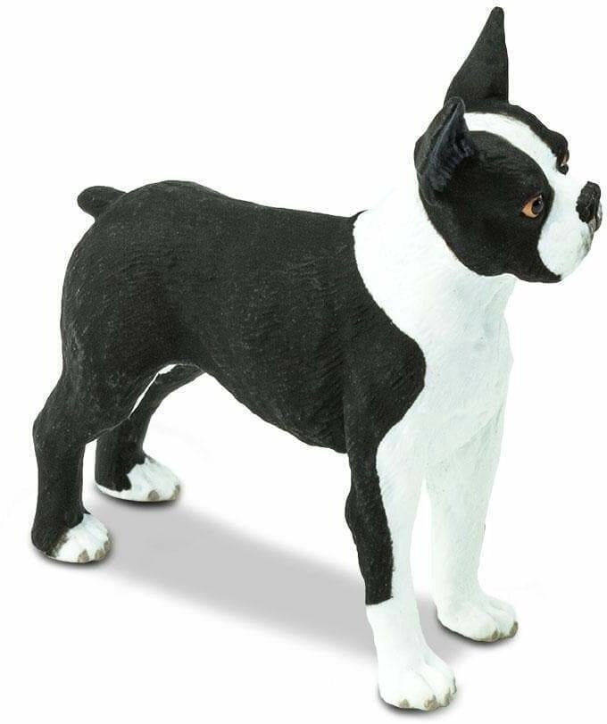 Фигурка животного Safari Ltd Собака Бостон-терьер, для детей, игрушка коллекционная, 255029