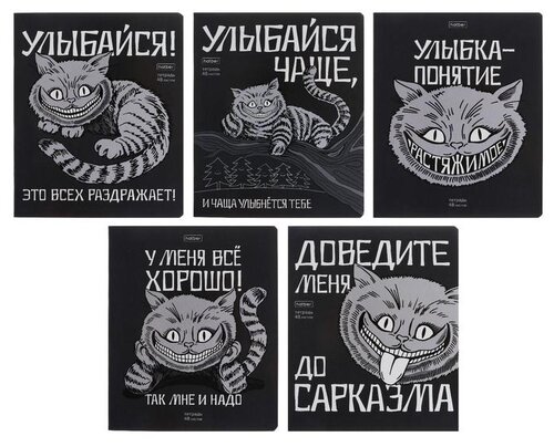 Hatber Тетрадь Улыбайся! 48Т5В1, клетка, 48 л., 1 шт., Рисунок