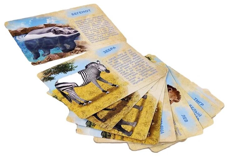 Набор животных «Дикие животные разных стран», по методике Монтессори, с обучающими карточками, из пластика, для детей и малышей