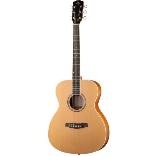 Prodipe JMFSA25 EA SA25 - акустическая гитара, аудиториум