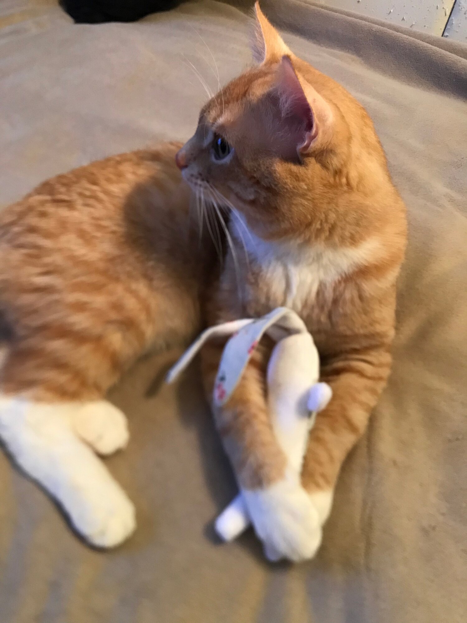 Игрушка для кошек Антейка Зайка длинные уши "Беззаботность" с мятой - фотография № 7