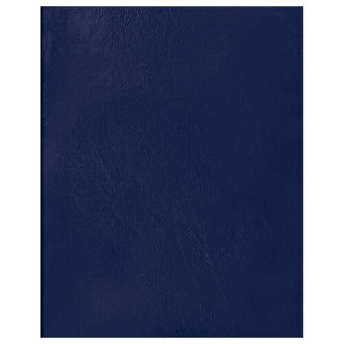 ArtSpace Тетрадь OfficeSpace А5, клетка, 48 л., 1 шт., синий тетрадь общая 80л а4 клетка скрепка обложка синяя 18шт