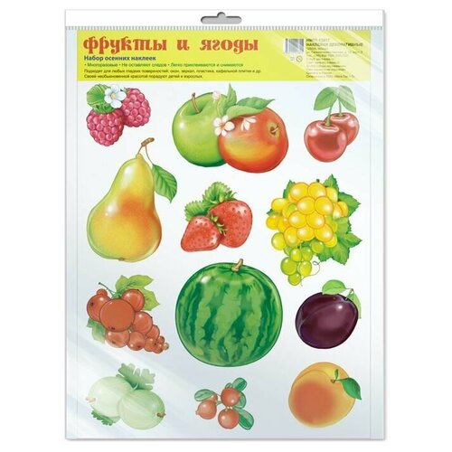 Набор осенних наклеек Творческий Центр сфера Фрукты и ягоды, формат А4, в пакете