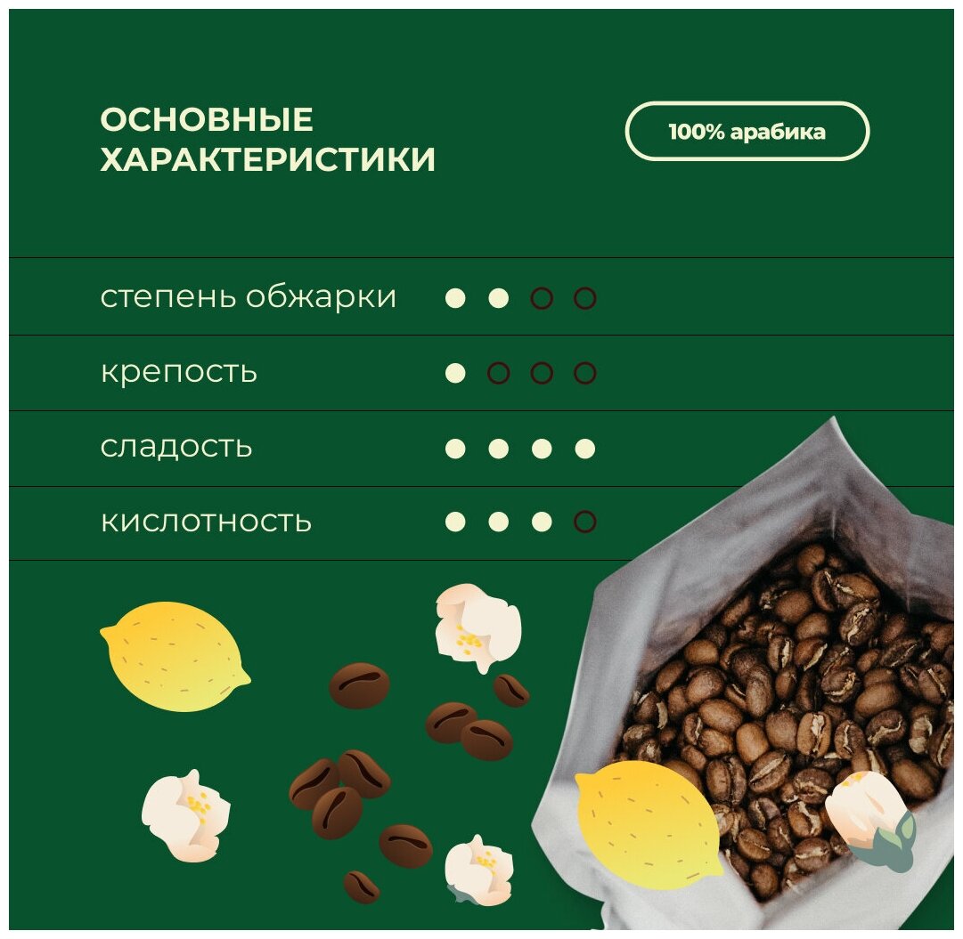 Кофе в зернах Эфиопия Сидамо Dobro Coffee Microroasters, свежая обжарка под фильтр, 200г - фотография № 2