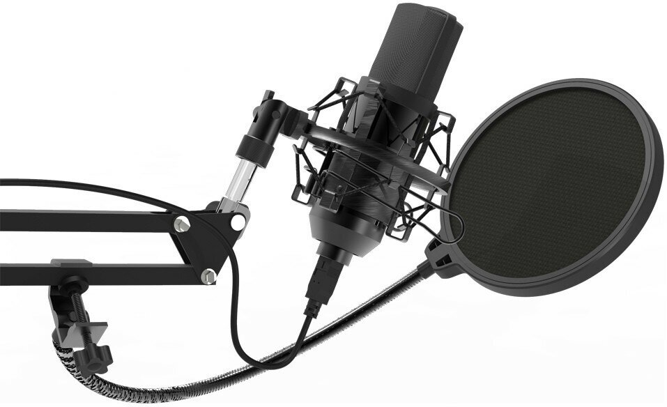Микрофон проводной Ritmix RDM-169