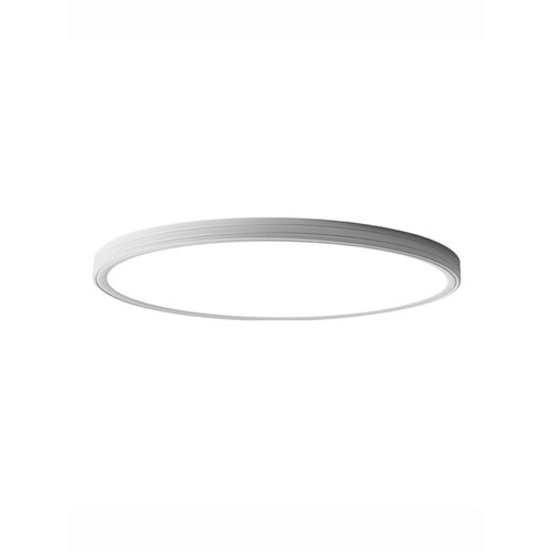 Потолочный светильник Xiaomi Huayi Eye Protection Anti-Blue Ceiling Light Circle 30W White