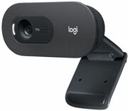 Веб-камера Logitech C505 960-001364 USB, HD 720p