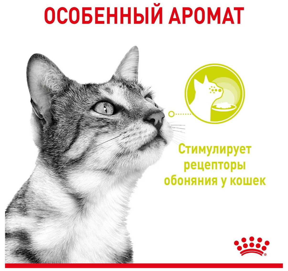 Влажный корм для кошек Royal Canin Sensory Smell стимулирующий обонятельные рецепторы 12 шт. х 85 г (кусочки в соусе) - фотография № 5