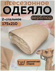 Одеяло Асика 2 - спальный 175x210 см, наполнитель Верблюжья шерсть всесезон / демисезон