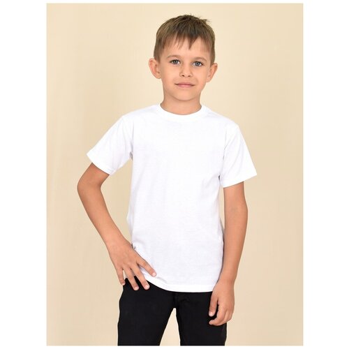 Футболка / футболка для мальчика / футболка однотонная / футболка детская (М35-16-Б р60 (116) 13) LIDEKO kids