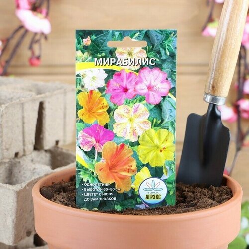 Семена цветов Мирабилис смесь окрасок 0,5 г 12 упаковок