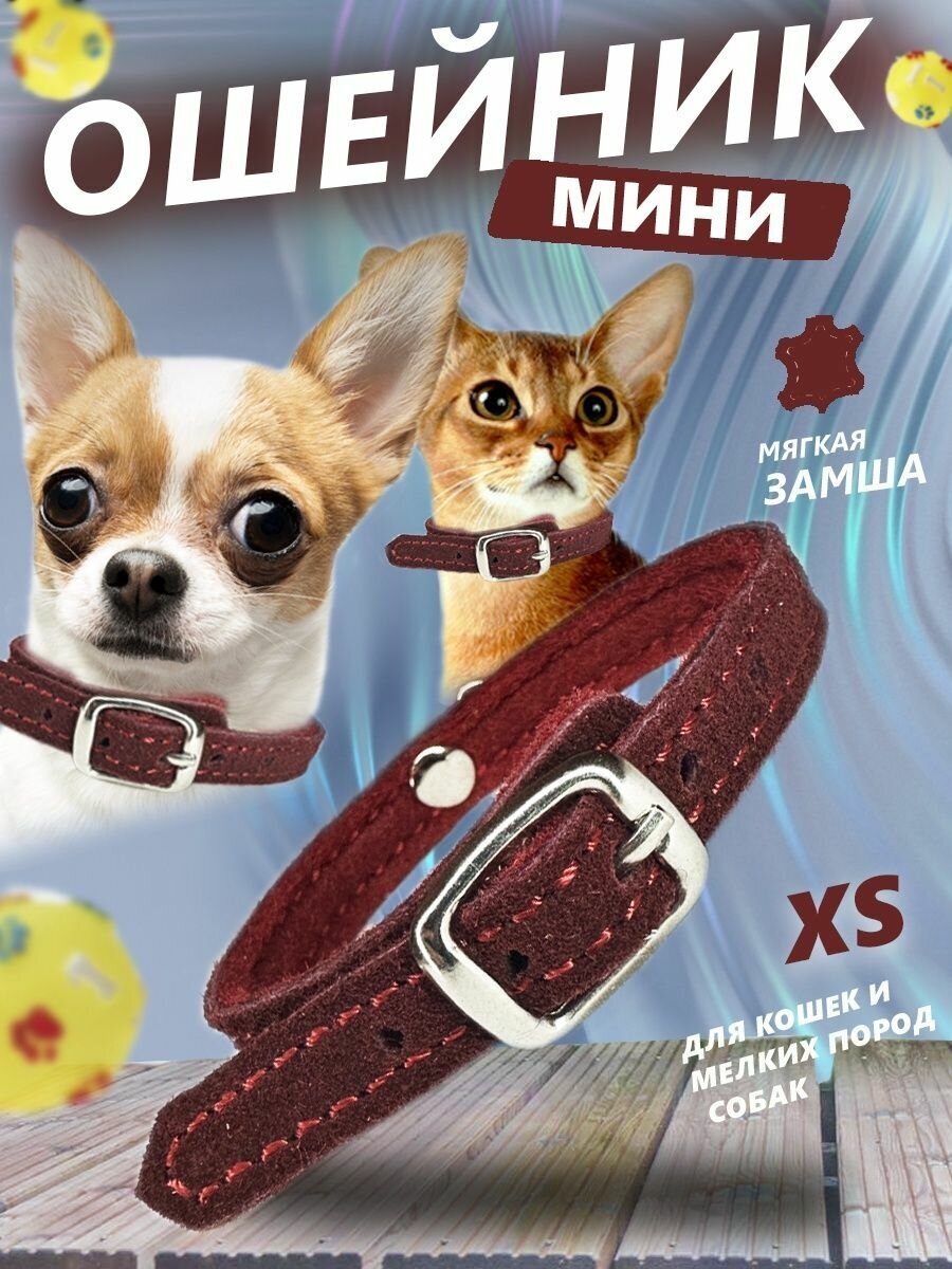 Ошейник Dober-крут для собак мелких пород и кошек бордовый размер XS