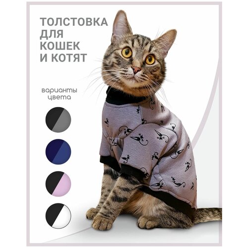 Толстовка одежда для кошек и котов сфинкс Лиловый кот
