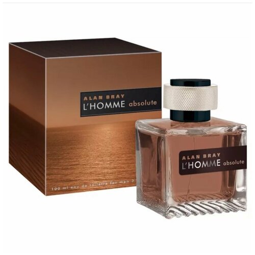 Клас-трейдинг Alan Bray L'Homme Absolute men 100ml edt клас трейдинг alan bray l homme absolute men 100ml edt